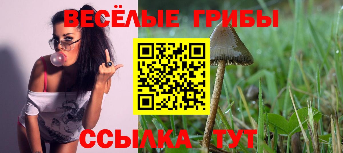 Псилоцибиновые грибы Magic Shrooms Лениногорск